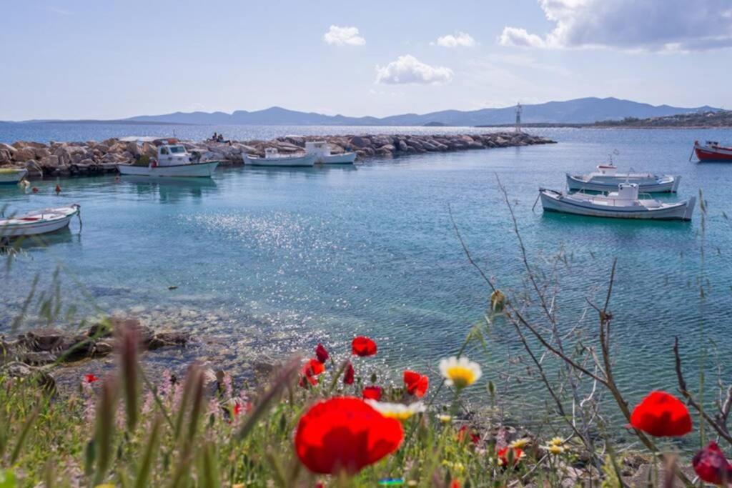 Exohiko Villa Aliki  Bagian luar foto