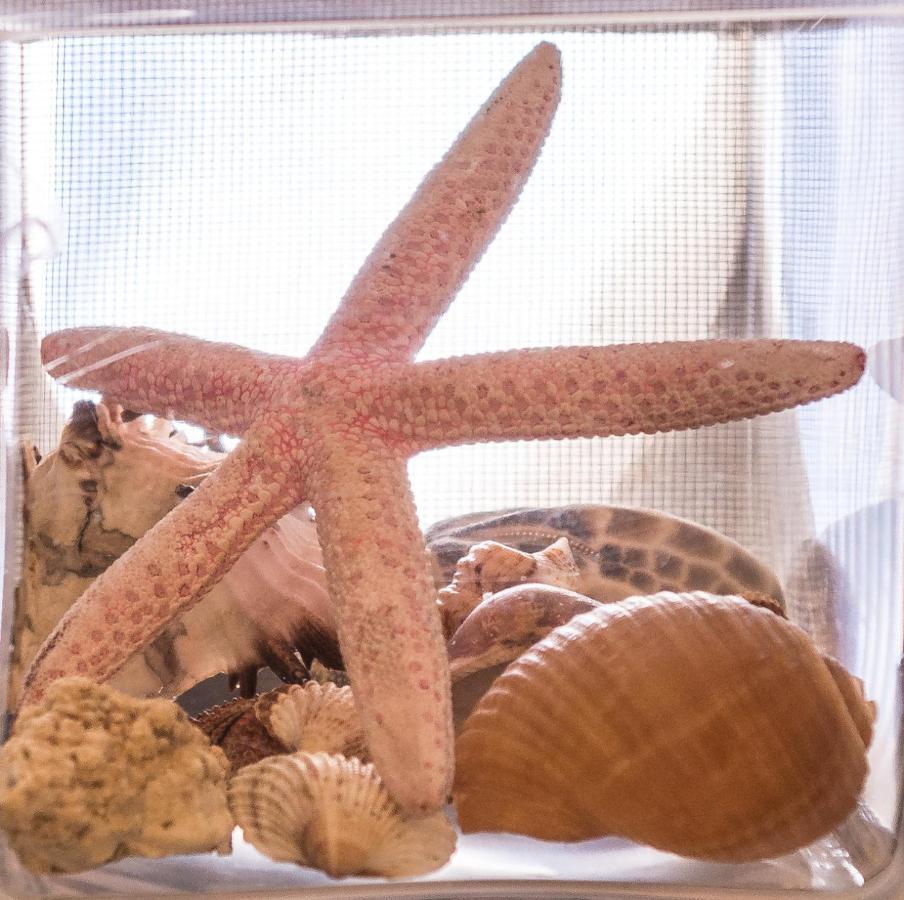 Exohiko Villa Aliki  Bagian luar foto